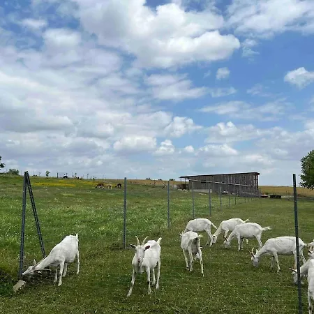 Lejlighed Bauernhof Glamping Mit Alpakas Und Ziegen *
