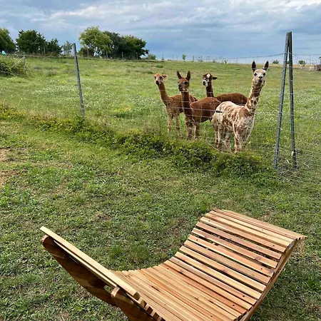 Lejlighed Bauernhof Glamping Mit Alpakas Und Ziegen