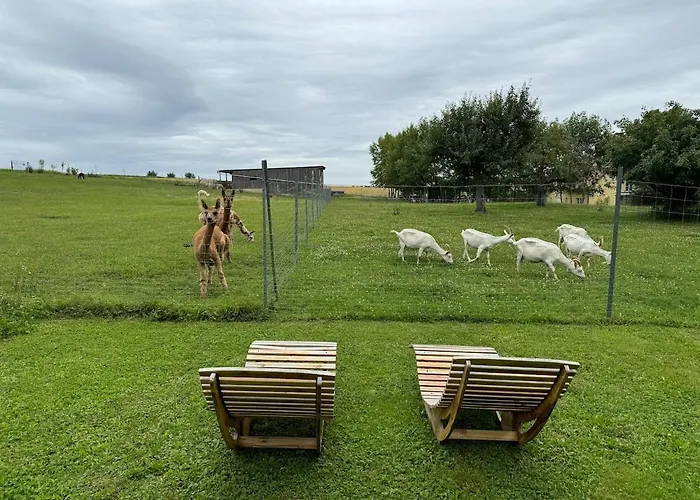 Bauernhof Glamping Mit Alpakas Und Ziegen *