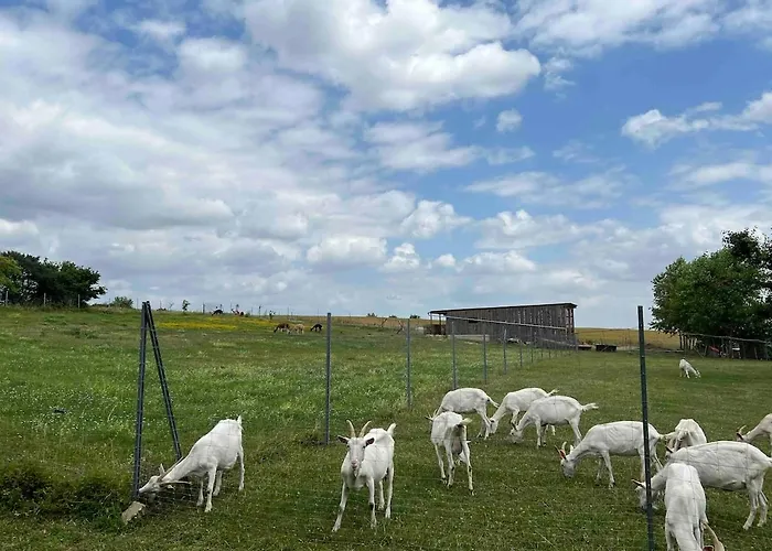 公寓 Bauernhof Glamping Mit Alpakas Und Ziegen *