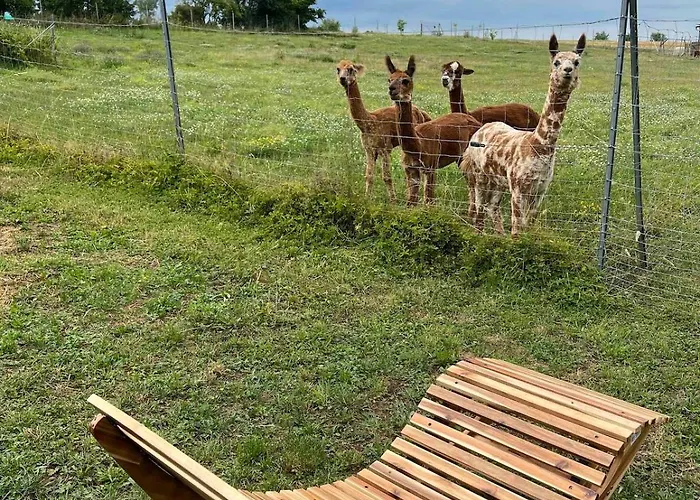 公寓 Bauernhof Glamping Mit Alpakas Und Ziegen