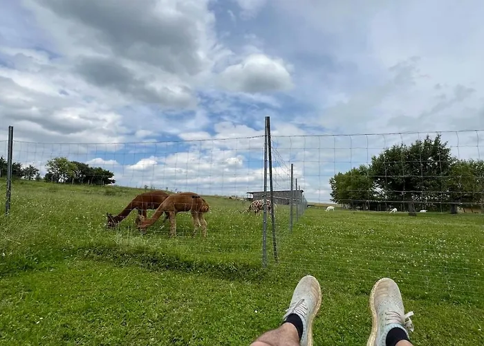 Bauernhof Glamping Mit Alpakas Und Ziegen 公寓 *