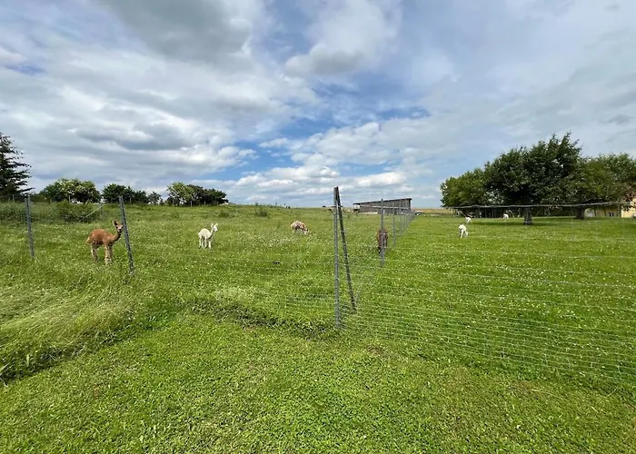 公寓 Bauernhof Glamping Mit Alpakas Und Ziegen Thalmassing (Roth)